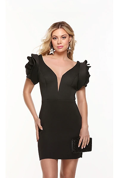 Alyce Paris Dress 4527