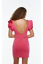 Alyce Paris Dress 4527