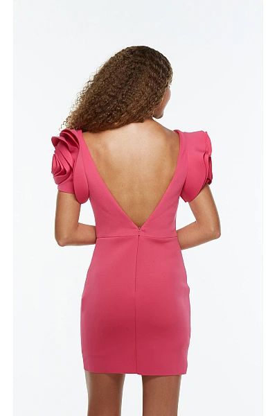 Alyce Paris Dress 4527