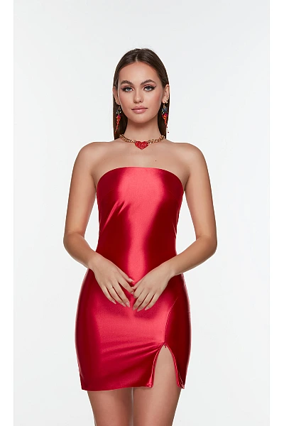 Alyce Paris Dress 4529