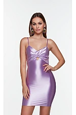 Alyce Paris Dress 4531