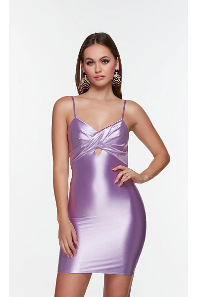 Alyce Paris Dress 4531