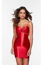 Alyce Paris Dress 4531