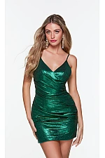 Alyce Paris Dress 4532