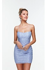 Alyce Paris Dress 4533
