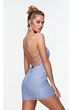 Alyce Paris Dress 4533