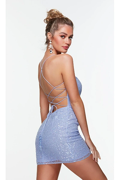 Alyce Paris Dress 4533