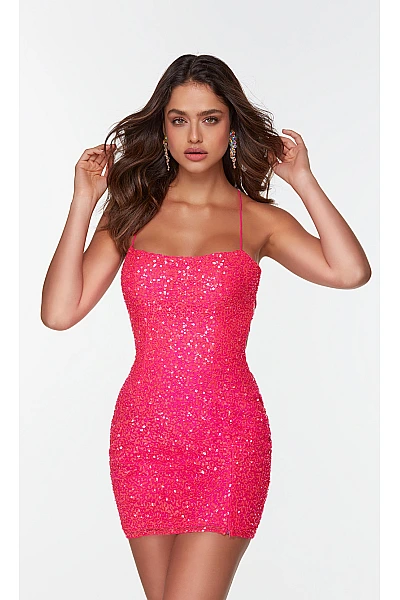Alyce Paris Dress 4533