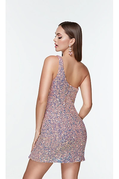 Alyce Paris Dress 4541