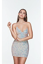 Alyce Paris Dress 4542