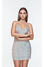 Alyce Paris Dress 4542