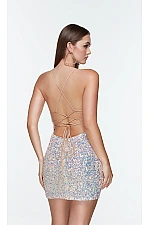 Alyce Paris Dress 4542