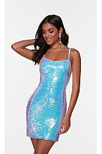 Alyce Paris Dress 4546 Alyce Paris Dress 4546