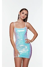 Alyce Paris Dress 4546 Alyce Paris Dress 4546