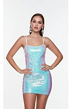 Alyce Paris Dress 4546 Alyce Paris Dress 4546