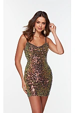 Alyce Paris Dress 4547