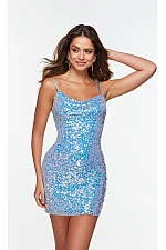 Alyce Paris Dress 4547
