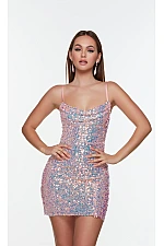 Alyce Paris Dress 4547