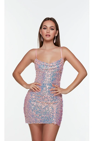 Alyce Paris Dress 4547