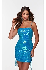 Alyce Paris Dress 4548 Alyce Paris Dress 4548
