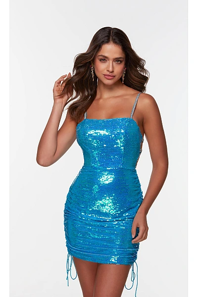 Alyce Paris Dress 4548 Alyce Paris Dress 4548