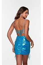 Alyce Paris Dress 4548 Alyce Paris Dress 4548