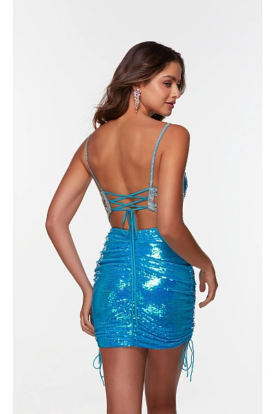 Alyce Paris Dress 4548 Alyce Paris Dress 4548