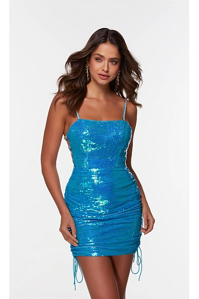 Alyce Paris Dress 4548 Alyce Paris Dress 4548