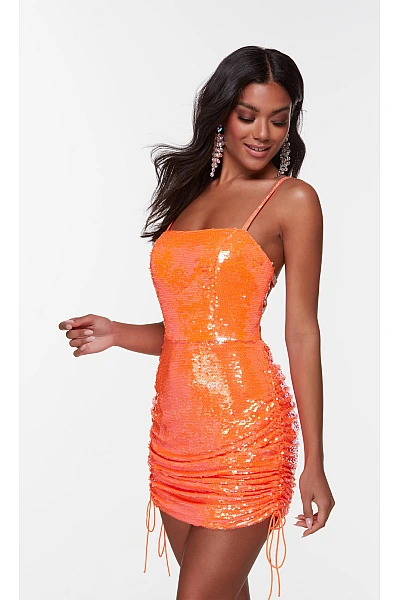 Alyce Paris Dress 4548 Alyce Paris Dress 4548