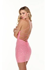 Alyce Paris Dress 4552