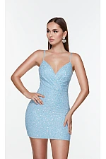 Alyce Paris Dress 4553