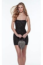 Alyce Paris Dress 4554