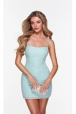 Alyce Paris Dress 4554