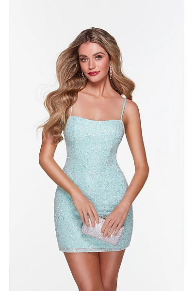 Alyce Paris Dress 4554