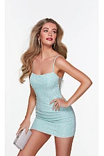 Alyce Paris Dress 4554