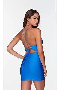 Alyce Paris Dress 4560