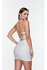 Alyce Paris Dress 4570 Alyce Paris Dress 4570