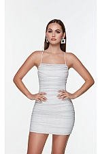 Alyce Paris Dress 4570 Alyce Paris Dress 4570