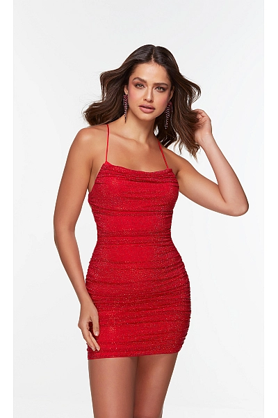 Alyce Paris Dress 4570 Alyce Paris Dress 4570