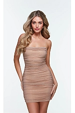 Alyce Paris Dress 4570 Alyce Paris Dress 4570