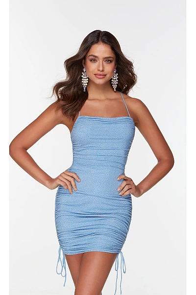 Alyce Paris Dress 4571