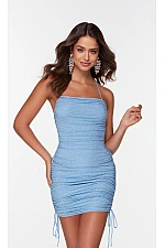 Alyce Paris Dress 4571