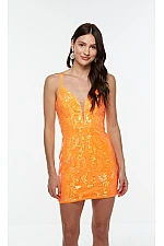 Alyce Paris Dress 4581