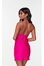 Alyce Paris Dress 4584
