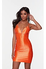 Alyce Paris Dress 4586