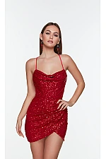 Alyce Paris Dress 4593