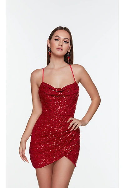 Alyce Paris Dress 4593