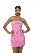 Alyce Paris Dress 4605