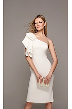 Alyce Paris Dress 70005 Alyce Paris Dress 70005