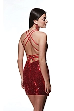 Alyce Paris Dress 4810 Alyce Paris Dress 4810